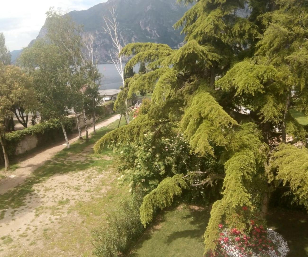 Villa Torbole 토르볼레 외부 사진